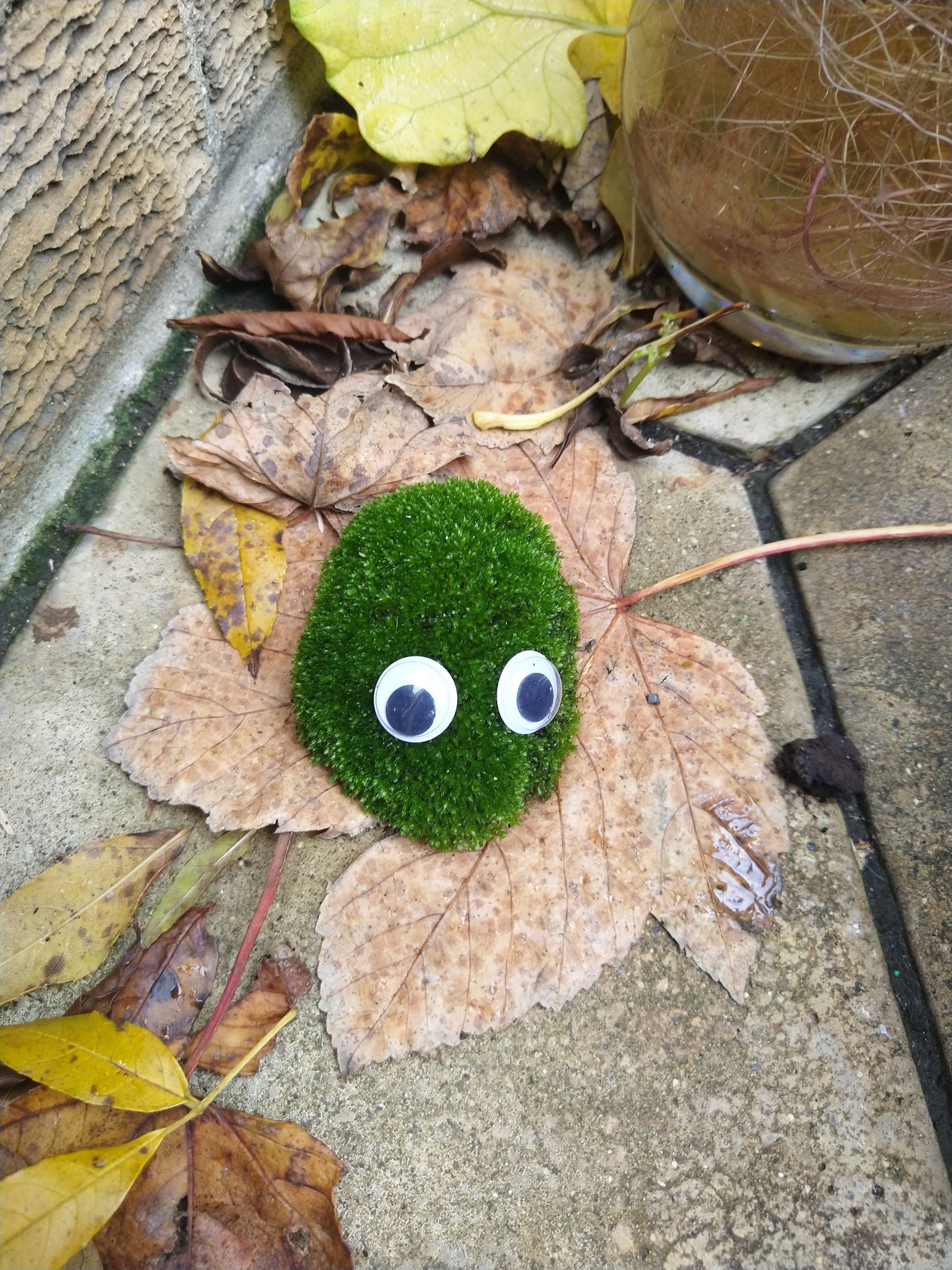 A small clump of moss with googly eyes on it.