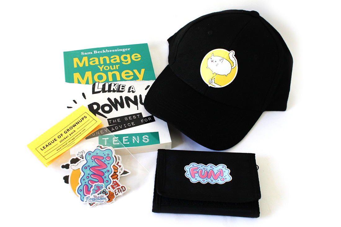 Manage your Money like a Grownup book, cat cap and sticker set