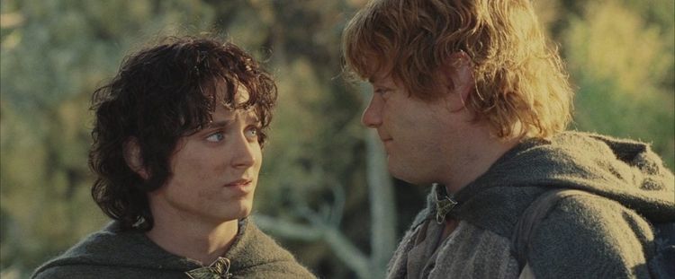 Frodo and Sam from Lord of the Rings gazing into each other's eyes in a totally hetero way