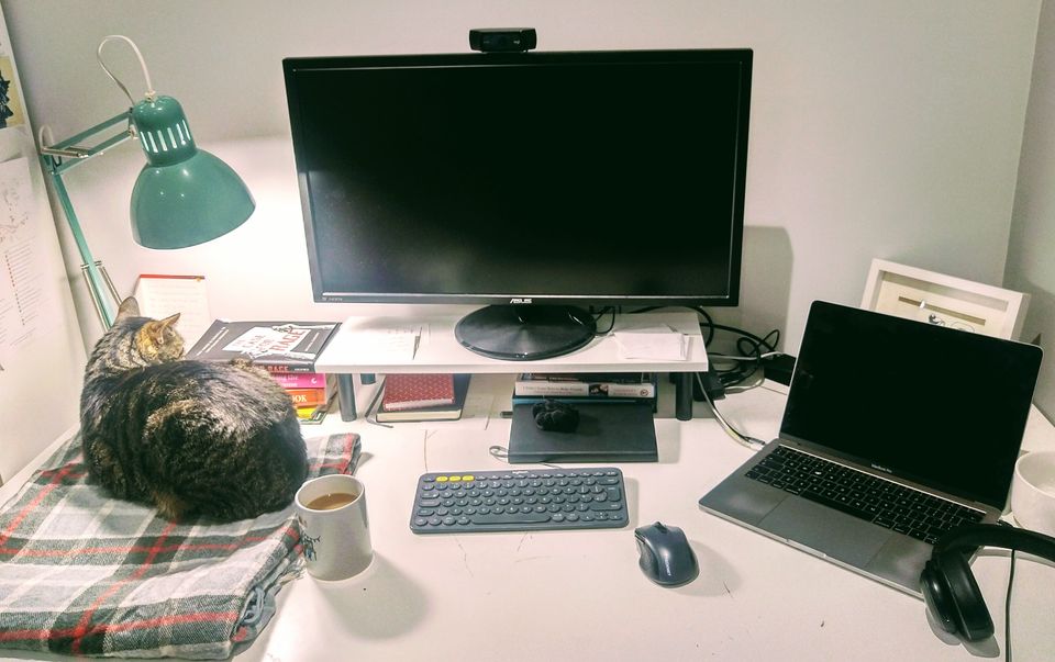 A cat on a desk